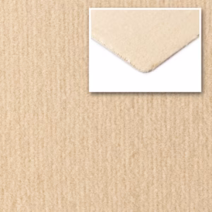 25-1730-parchment.jpg