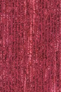 grain_410_1.jpg