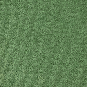 BLOOMBACK_APPLE